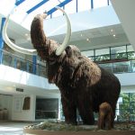 Vítejte v pravěku. V Brně uvidíte i skutečného mamuta