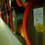 Moldavsko, vinice východní Evropy