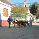 U krajanů v Rumunsku