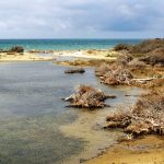 Italská Maremma, to jsou úžasné pláže a božský klid