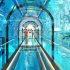 Nejhlubší bazén světa je v Polsku
