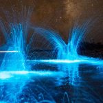 Kouzelná “Mořská jiskra” je malým zázrakem tasmánské pláže. Světelkující plankton láká tisíce turistů každý rok