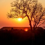 Kam za skutečnou exotikou? Madagaskar je rájem rostlin a zvířat, které jinde nenajdete