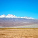Poušť Atacama patří k nejsušším místům na planetě. Přesto zde existuje život