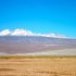 Poušť Atacama patří k nejsušším místům na planetě. Přesto zde existuje život
