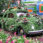 Nejkouzelnější botanické zahrady na světě. Zde příroda skutečně ožívá krásou