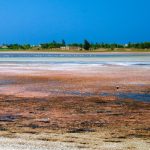 Místa, kde sůl není nad zlato, ale je jí tam možná až moc