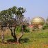 Utopický experiment žije v Auroville již přes padesát let. Sužují jej ale potíže a ideál míru se vytrácí