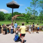 Navštivte nejkrásnější ZOO na světě. Jednu máme i v Česku