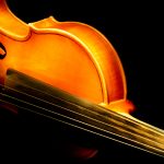 Nejdražší housle světa se rodí z italských lesů. Každý detail hraje v procesu výroby roli