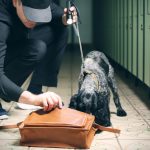 Pašování drog je nuda. Převážet se dají i zvířata nebo mrtví lidé