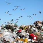 10 tisíc tun odpadu denně. Tolik putuje každý den na největší skládky