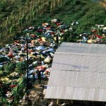 Hromadná sebevražda v Jonestownu otřásla světem. Dalo se jí zabránit?