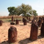 Gambie: Afrikou po vodě