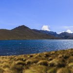 Mohou ptáci páchat sebevraždu? Místní od jezera Ozogoche tomu věří. Co na to věda?