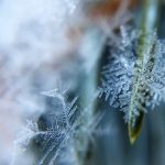 Přežít vlastní smrt: Lyžařka strávila neuvěřitelných 80 minut pod ledem