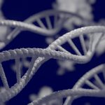 Genetické choroby: Když se v DNA něco pokazí. Často jde skutečně o náhodu