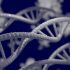 Genetické choroby: Když se v DNA něco pokazí. Často jde skutečně o náhodu