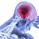 Proč jsou lidé nejinteligentnějším druhem? Stačilo pár drobných náhod