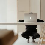 Co s našimi domácnostmi udělala pandemie? Některé trendy významně zahýbaly trhem