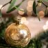 Historie jmelí: Jak se z cizopasníka stal symbol Vánoc?
