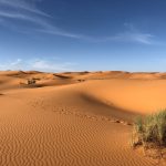Rozkvetlá Sahara? Díky periodickým cyklům klimatu žádné překvapení