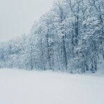 Poslední závod: Pravdivý příběh Hanče a Vrbaty ožil díky filmu