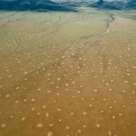 Namibijské kruhy v poušti konečně vysvětleny? Dvě teorie hrají aktuálně prim