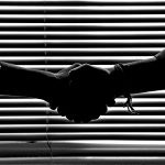 Vsadil byste se? Tyto bizarní sázky jsou skoro k neuvěření