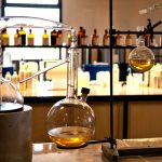 Netradiční dovolená ve Francii. Vyzkoušejte nové atrakce