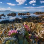 Kam letos na dovolenou? Irsko láká na přírodu i kulturu