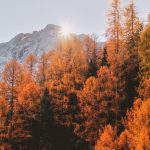 Podzim na Slovensku nabízí vše pro milovníky přírody i kultury