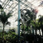 Navštivte nejkrásnější botanické zahrady Evropy: Na jaře nádherně rozkvétají!