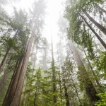 Skutečné ticho: Tato místa vám dovolí zapomenout na hluk světa