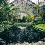 Spojení architektury a přírody: Objevte nejkrásnější skleníky Evropy!